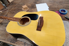 Rogue Acoustic Bridge Damage